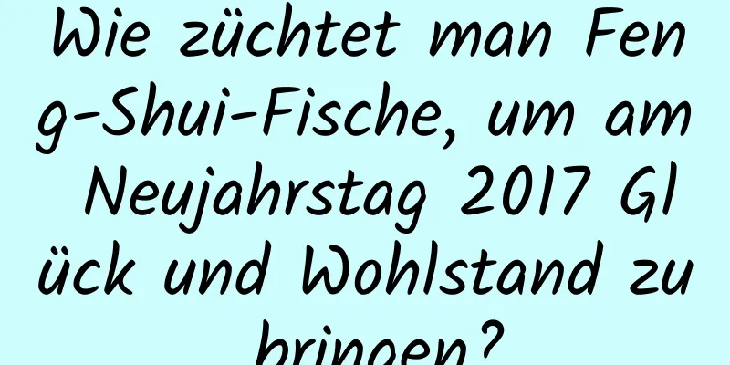 Wie züchtet man Feng-Shui-Fische, um am Neujahrstag 2017 Glück und Wohlstand zu bringen?