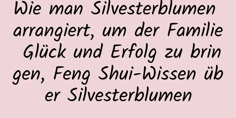 Wie man Silvesterblumen arrangiert, um der Familie Glück und Erfolg zu bringen, Feng Shui-Wissen über Silvesterblumen