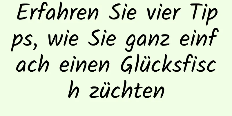 Erfahren Sie vier Tipps, wie Sie ganz einfach einen Glücksfisch züchten