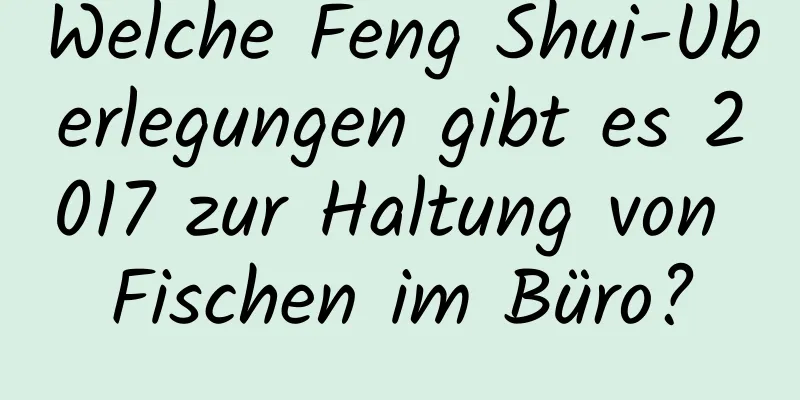 Welche Feng Shui-Überlegungen gibt es 2017 zur Haltung von Fischen im Büro?