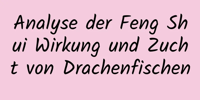 Analyse der Feng Shui Wirkung und Zucht von Drachenfischen