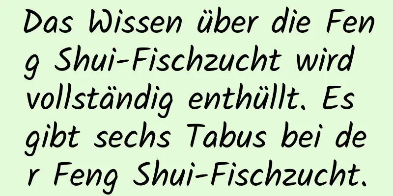 Das Wissen über die Feng Shui-Fischzucht wird vollständig enthüllt. Es gibt sechs Tabus bei der Feng Shui-Fischzucht.