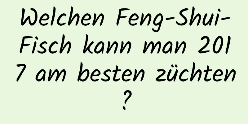 Welchen Feng-Shui-Fisch kann man 2017 am besten züchten?