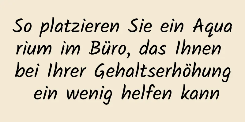 So platzieren Sie ein Aquarium im Büro, das Ihnen bei Ihrer Gehaltserhöhung ein wenig helfen kann