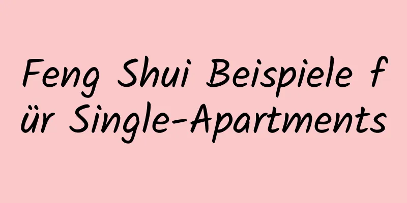 Feng Shui Beispiele für Single-Apartments