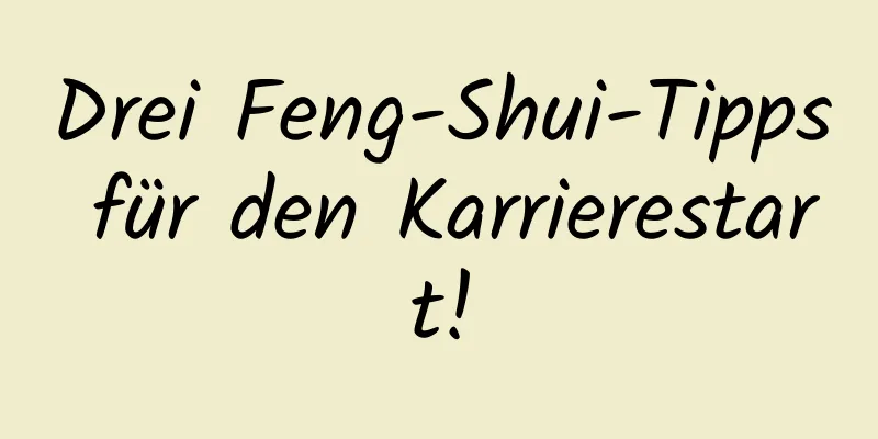 Drei Feng-Shui-Tipps für den Karrierestart!