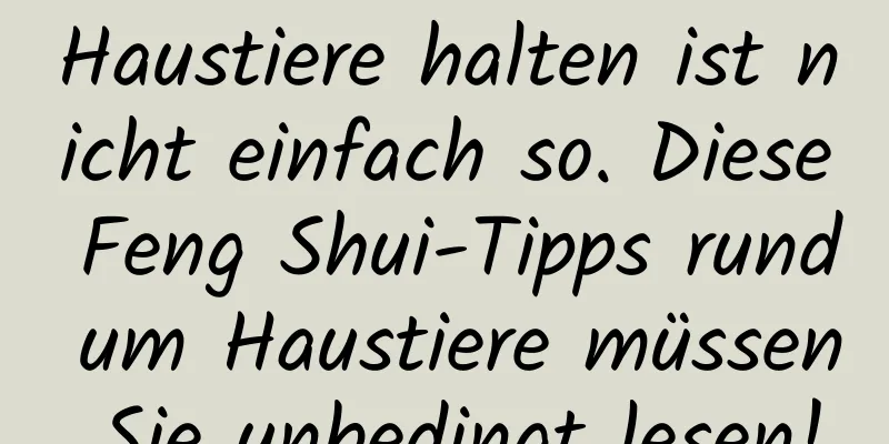 Haustiere halten ist nicht einfach so. Diese Feng Shui-Tipps rund um Haustiere müssen Sie unbedingt lesen!