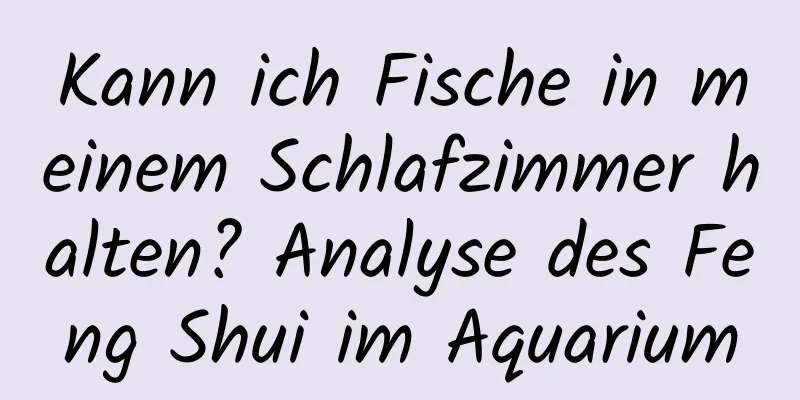 Kann ich Fische in meinem Schlafzimmer halten? Analyse des Feng Shui im ​​Aquarium