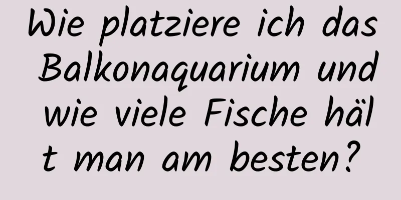 Wie platziere ich das Balkonaquarium und wie viele Fische hält man am besten?