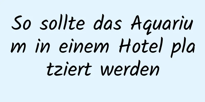 So sollte das Aquarium in einem Hotel platziert werden