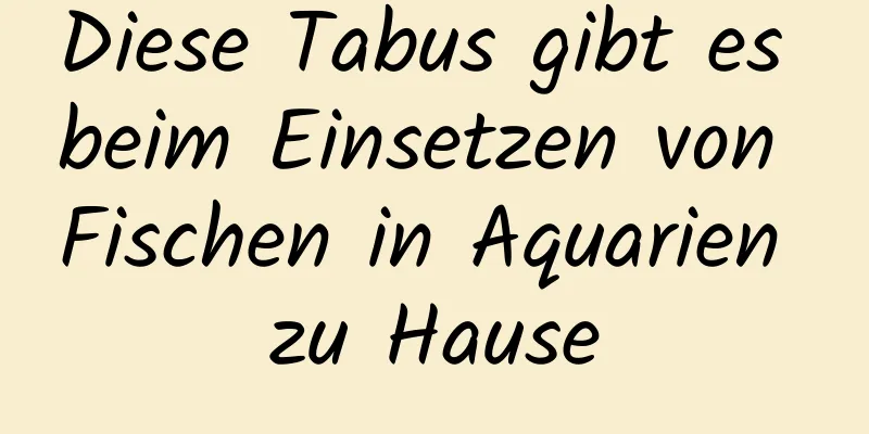 Diese Tabus gibt es beim Einsetzen von Fischen in Aquarien zu Hause