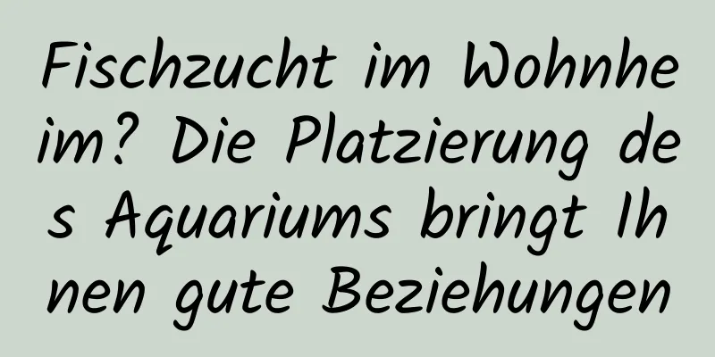 Fischzucht im Wohnheim? Die Platzierung des Aquariums bringt Ihnen gute Beziehungen