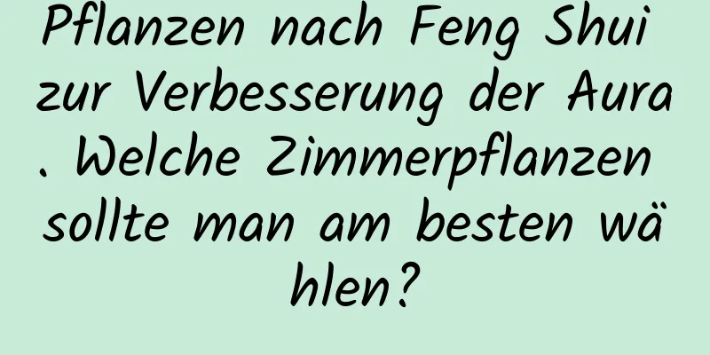 Pflanzen nach Feng Shui zur Verbesserung der Aura. Welche Zimmerpflanzen sollte man am besten wählen?