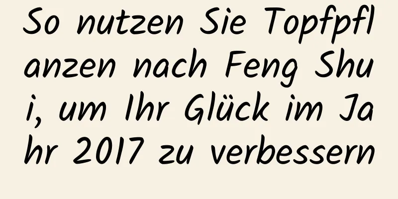 So nutzen Sie Topfpflanzen nach Feng Shui, um Ihr Glück im Jahr 2017 zu verbessern