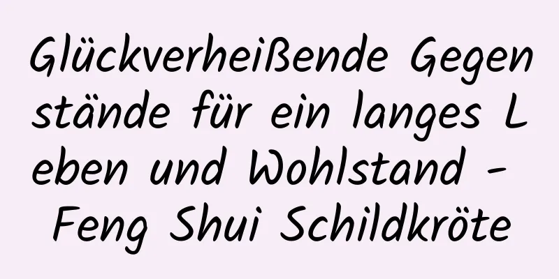 Glückverheißende Gegenstände für ein langes Leben und Wohlstand - Feng Shui Schildkröte