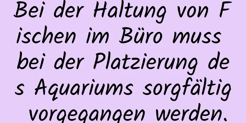 Bei der Haltung von Fischen im Büro muss bei der Platzierung des Aquariums sorgfältig vorgegangen werden.