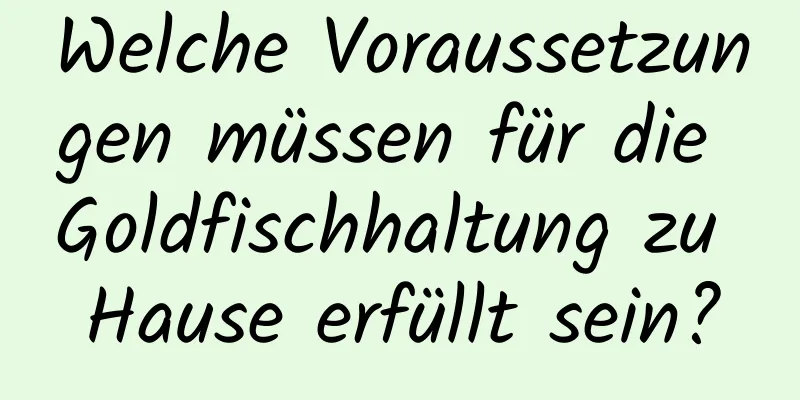 Welche Voraussetzungen müssen für die Goldfischhaltung zu Hause erfüllt sein?