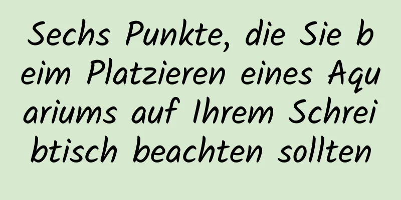 Sechs Punkte, die Sie beim Platzieren eines Aquariums auf Ihrem Schreibtisch beachten sollten