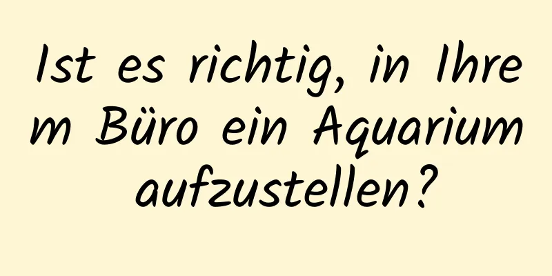 Ist es richtig, in Ihrem Büro ein Aquarium aufzustellen?