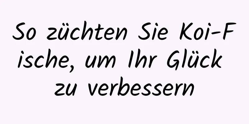 So züchten Sie Koi-Fische, um Ihr Glück zu verbessern