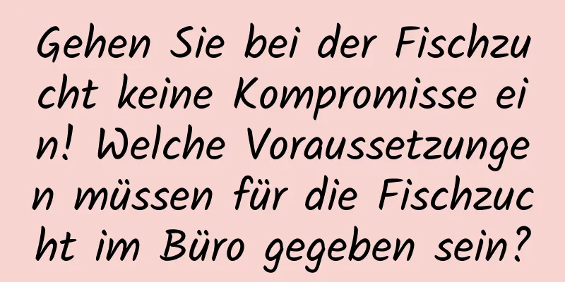 Gehen Sie bei der Fischzucht keine Kompromisse ein! Welche Voraussetzungen müssen für die Fischzucht im Büro gegeben sein?