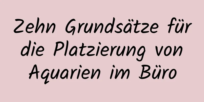 Zehn Grundsätze für die Platzierung von Aquarien im Büro