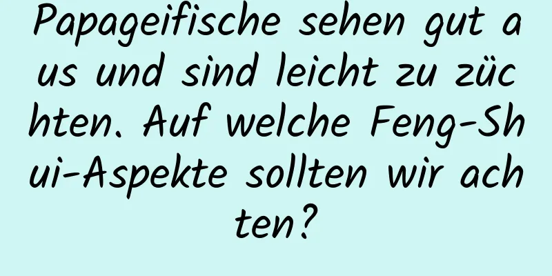 Papageifische sehen gut aus und sind leicht zu züchten. Auf welche Feng-Shui-Aspekte sollten wir achten?