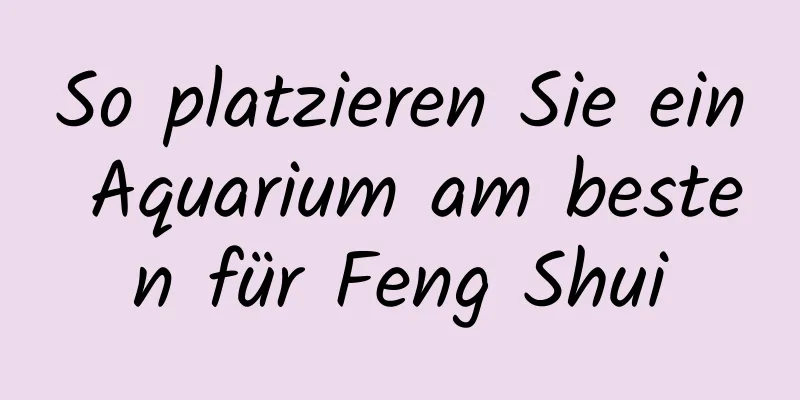 So platzieren Sie ein Aquarium am besten für Feng Shui