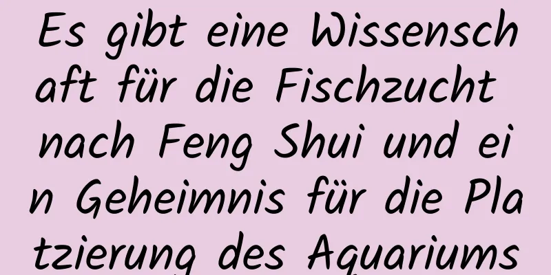 Es gibt eine Wissenschaft für die Fischzucht nach Feng Shui und ein Geheimnis für die Platzierung des Aquariums