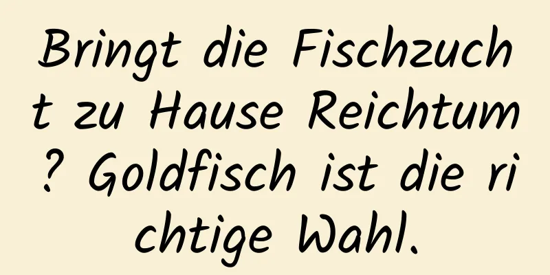 Bringt die Fischzucht zu Hause Reichtum? Goldfisch ist die richtige Wahl.