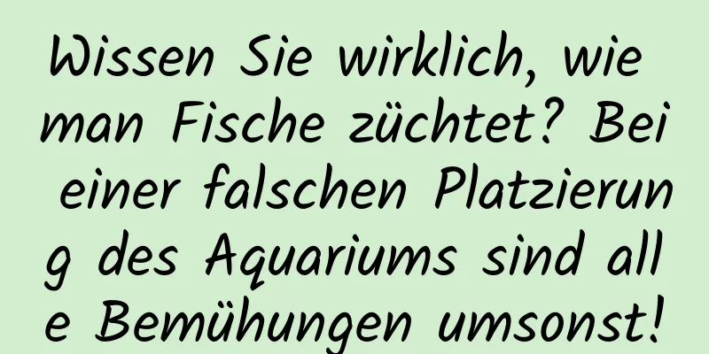 Wissen Sie wirklich, wie man Fische züchtet? Bei einer falschen Platzierung des Aquariums sind alle Bemühungen umsonst!