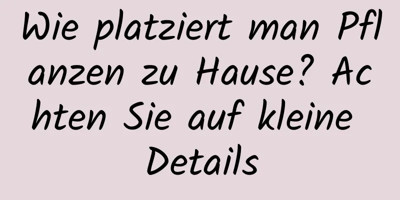 Wie platziert man Pflanzen zu Hause? Achten Sie auf kleine Details