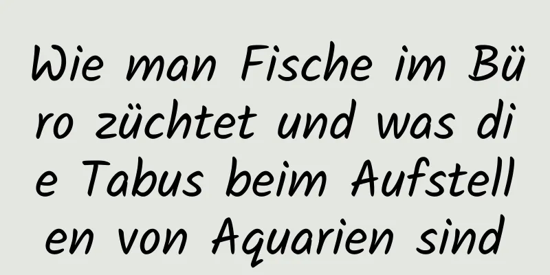 Wie man Fische im Büro züchtet und was die Tabus beim Aufstellen von Aquarien sind