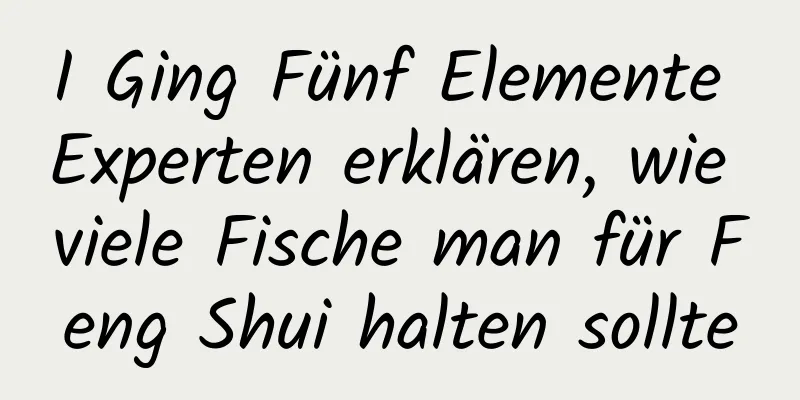 I Ging Fünf Elemente Experten erklären, wie viele Fische man für Feng Shui halten sollte