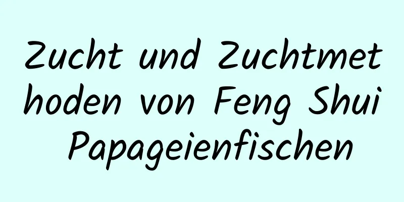 Zucht und Zuchtmethoden von Feng Shui Papageienfischen