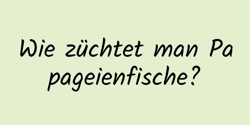 Wie züchtet man Papageienfische?