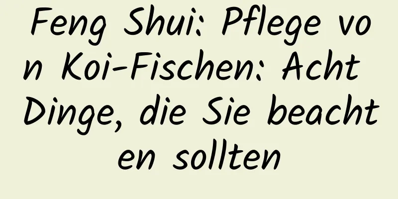 Feng Shui: Pflege von Koi-Fischen: Acht Dinge, die Sie beachten sollten