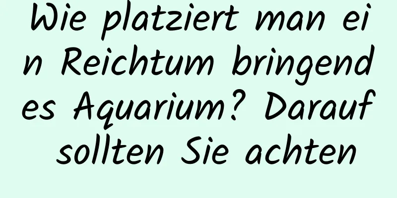 Wie platziert man ein Reichtum bringendes Aquarium? Darauf sollten Sie achten