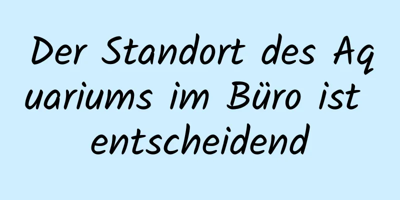 Der Standort des Aquariums im Büro ist entscheidend