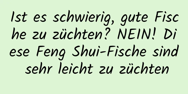 Ist es schwierig, gute Fische zu züchten? NEIN! Diese Feng Shui-Fische sind sehr leicht zu züchten