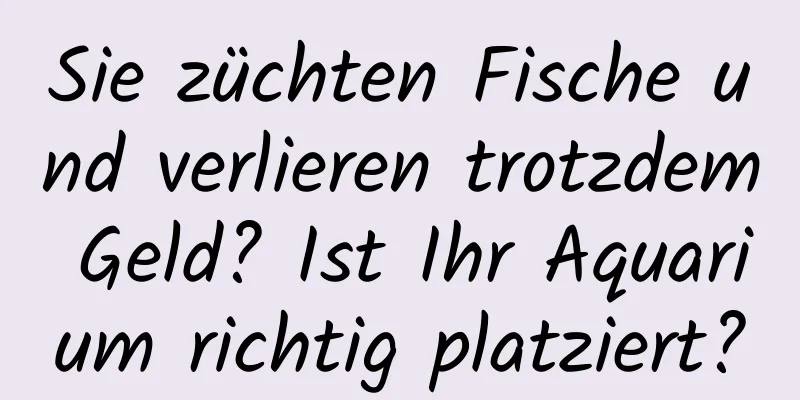 Sie züchten Fische und verlieren trotzdem Geld? Ist Ihr Aquarium richtig platziert?