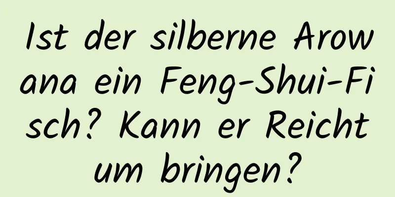 Ist der silberne Arowana ein Feng-Shui-Fisch? Kann er Reichtum bringen?