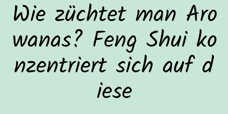 Wie züchtet man Arowanas? Feng Shui konzentriert sich auf diese