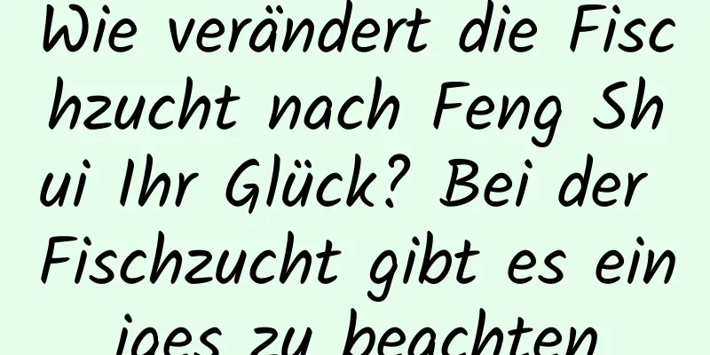 Wie verändert die Fischzucht nach Feng Shui Ihr Glück? Bei der Fischzucht gibt es einiges zu beachten