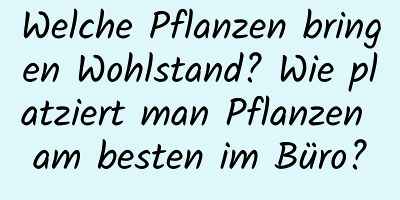 Welche Pflanzen bringen Wohlstand? Wie platziert man Pflanzen am besten im Büro?