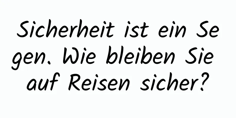 Sicherheit ist ein Segen. Wie bleiben Sie auf Reisen sicher?