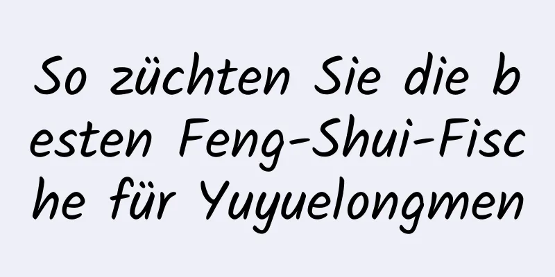 So züchten Sie die besten Feng-Shui-Fische für Yuyuelongmen