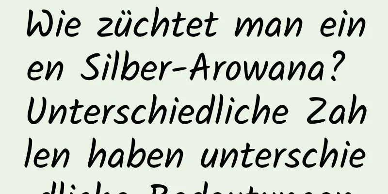 Wie züchtet man einen Silber-Arowana? Unterschiedliche Zahlen haben unterschiedliche Bedeutungen