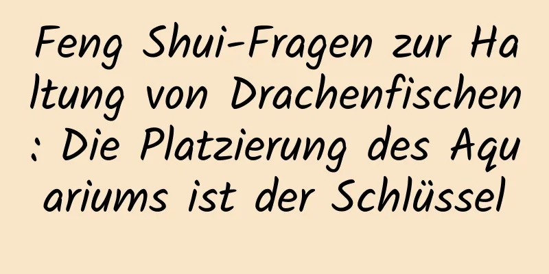 Feng Shui-Fragen zur Haltung von Drachenfischen: Die Platzierung des Aquariums ist der Schlüssel