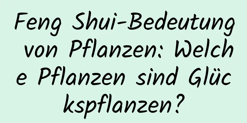 Feng Shui-Bedeutung von Pflanzen: Welche Pflanzen sind Glückspflanzen?